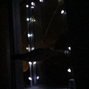 Meet your Posher, Rhonda